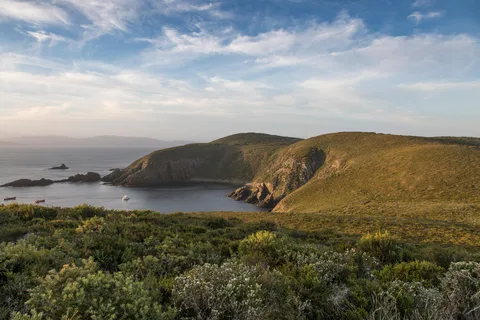 Bruny Island Tour with Lighthouse & 2-Course Winery Lunch
