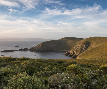 Bruny Island Tour with Lighthouse & 2-Course Winery Lunch