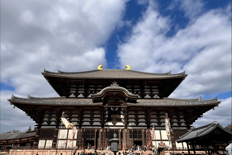 Private tour of Nara with an English/Spanish-speaking Guide