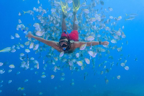 Desde Punta Cana: Excursión de un día en Catamarán Privado a la Isla Saona