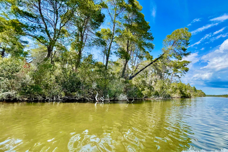 Durres &amp; Karavasta National Park Tour op luxe Land Rover