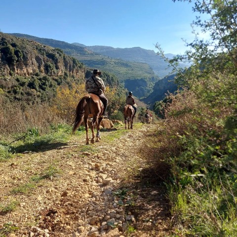 Visit Lebanon Mountains Horseback Riding, From Beirut in Beirut