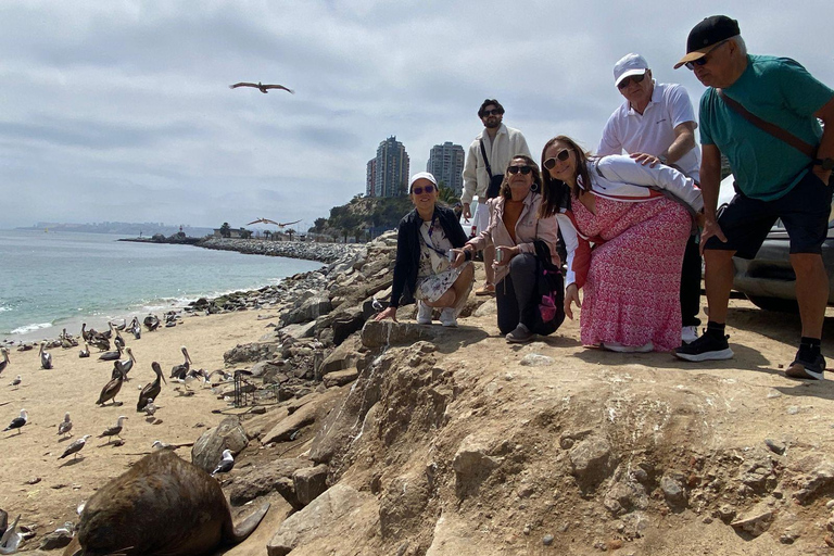 Casablanca: Private Wine Tour at Estancia El Cuadro, Valparaíso, Viña del Mar