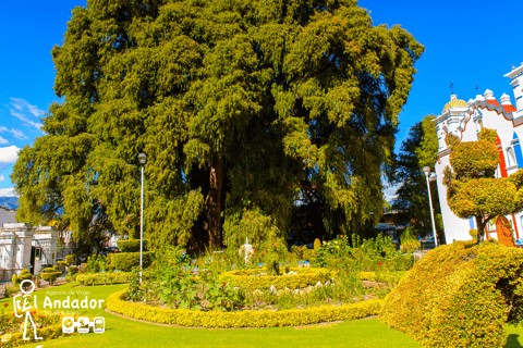 Caminos del Condoy: Zagotuj wodę, Mitla. Mezcal