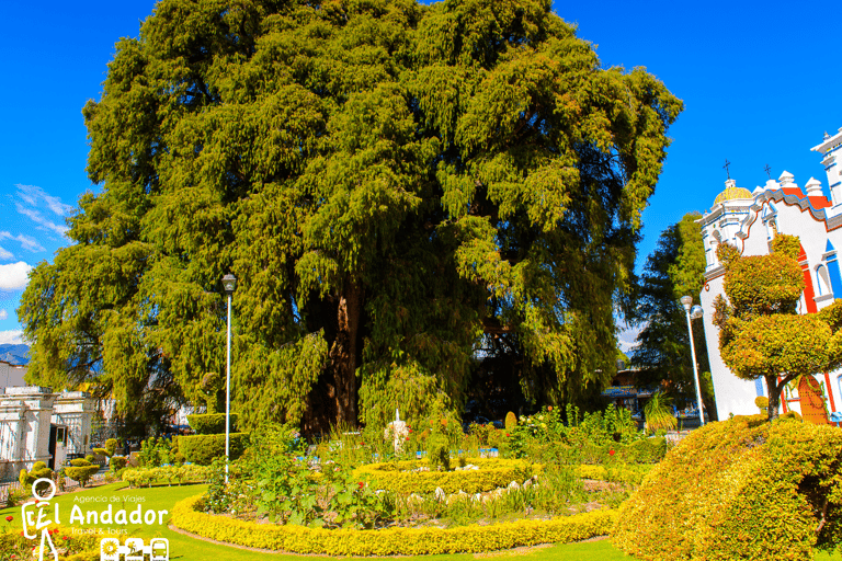 Caminos del Condoy: Zagotuj wodę, Mitla. Mezcal