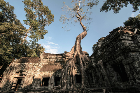 Siem Reap: Angkor Wat‑deutschgeführte Touren Siem Reap: Angkor Wat, Ta Prohm, & Angkor Thom Tour-Car