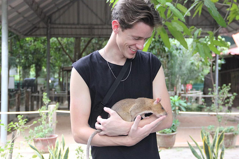 Siem Reap: APOPO, Killing Fields, Wat Bo & Wat Preah Enkosei Private Tour by Tuk-Tuk & Licensed Guide