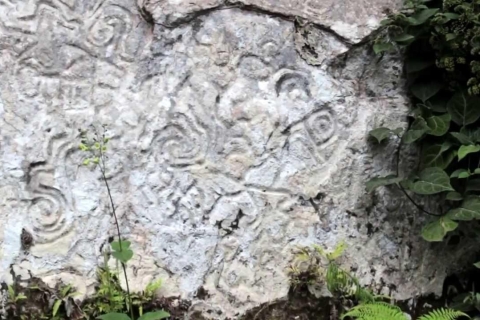 Reserva Nacional del Manu 5D | Petroglifos de Pusharo |