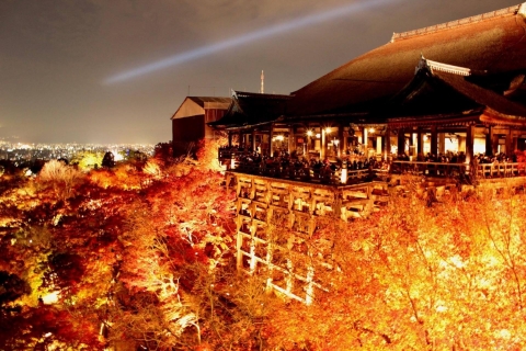 Kyoto : Excursion privée personnalisable en voiture