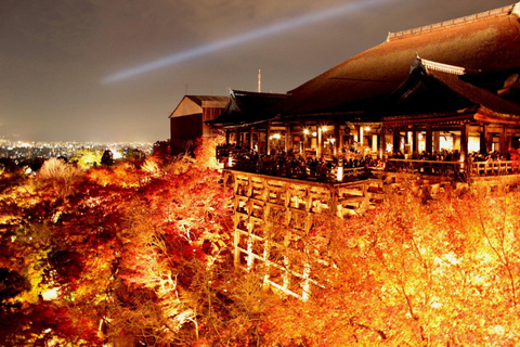 Kyoto: Private Customizable Day Trip by Car