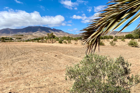 Fuerteventura: Tapas und lokales Leben Geführte Tour