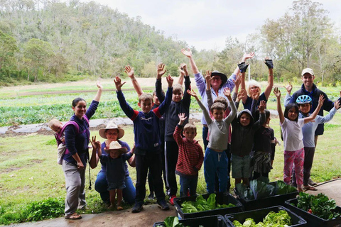 Brisbane Farm Day Trip | Ellia's Garden Scenic Rim