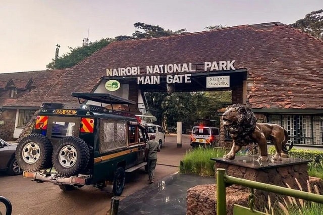 Nairobi: National Park, Elephant Orphanage & Giraffe Tour