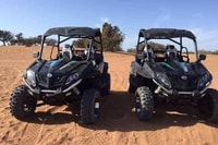 Van Agadir of Taghazout, Dune Buggy Tour Adventure - Housity