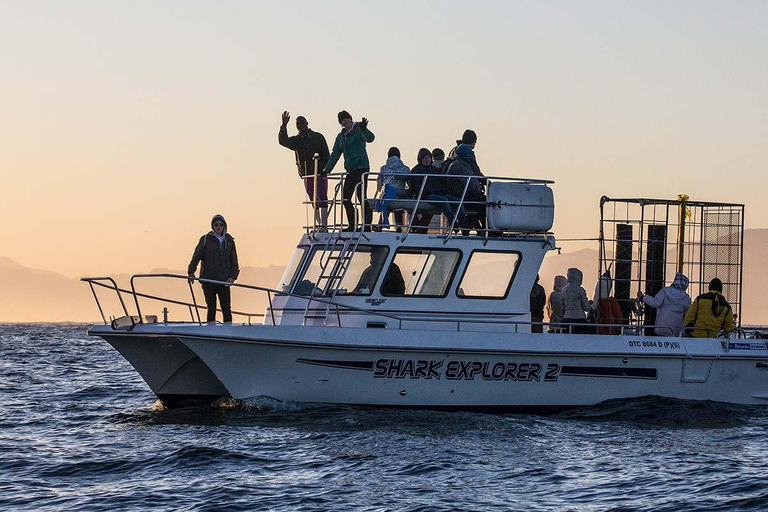 Ciudad del Cabo: Buceo en jaula de tiburones con comida y bebida