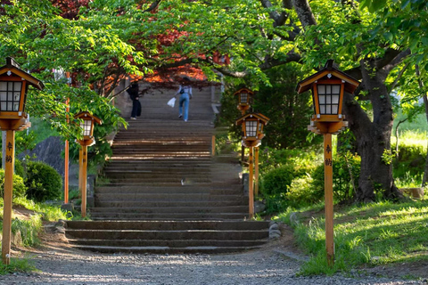 Tokyo: Full-day Tour of the Six Majestic Spots of Mt Fuji 8:00 AM Shinjuku West Exit, SMBC Meeting Point