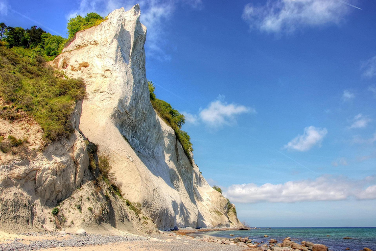 Copenhagen Møns Klint & Forest Tower Tour