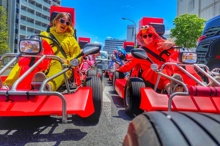 Tokio: Original Street Kart Erlebnis von Tokyo Bay