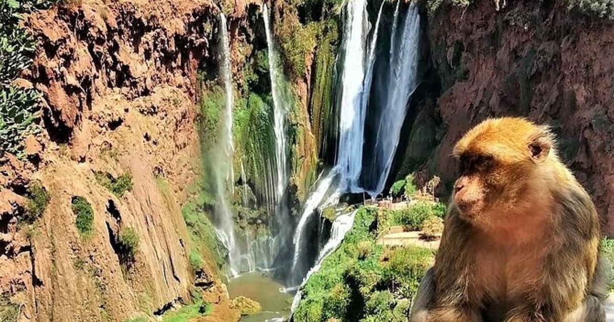 Ouzoud Waterfalls Day Trip In Small Group | GetYourGuide