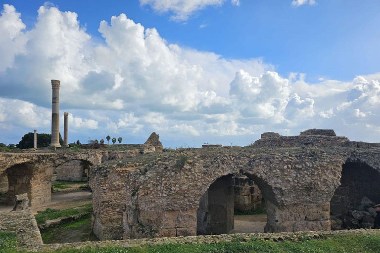 Excursión de un día a Cartago y Sidi Bou Said