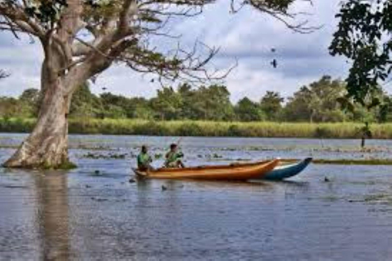 Vanuit Colombo: privétour naar Dambulla, Sigiriya en een dorpVanuit Colombo: Dambulla, Sigiriya en dorpsprivétour