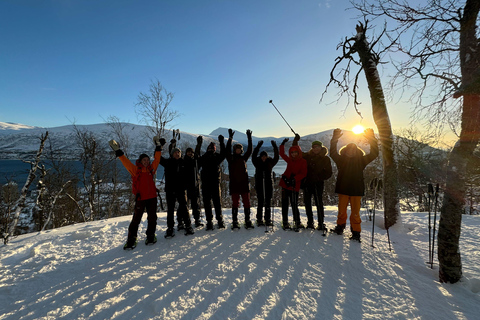Tromsø: Guided snowshoe trip on Tromsøya