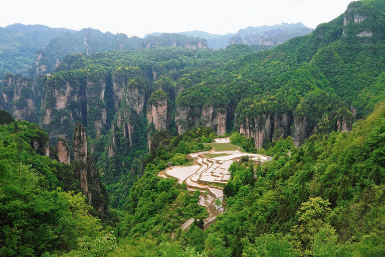 Zhangjiajie: Avatar Forest Park Group Tour or Ticket Big Group Tour with English Guide & Entry Ticket (11-16 ppl)