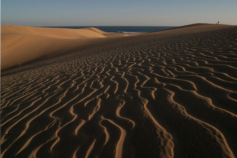 Doha:Inland Sea Guided Tour with Local Expert & Refreshments