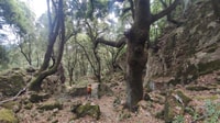 Bruncu Casteddu, hiking guided tour close Ulassai Village - Housity