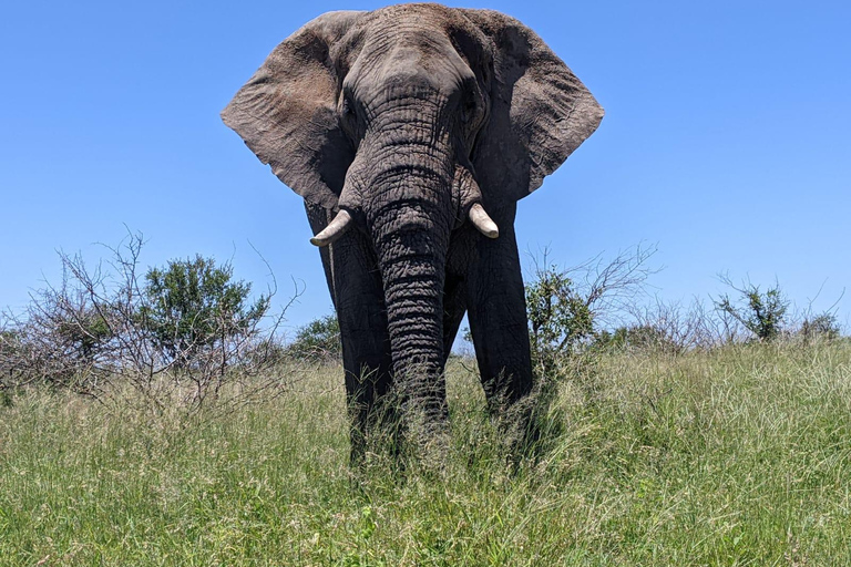 Safari nel Parco Kruger e itinerario panoramico di 3 giorni