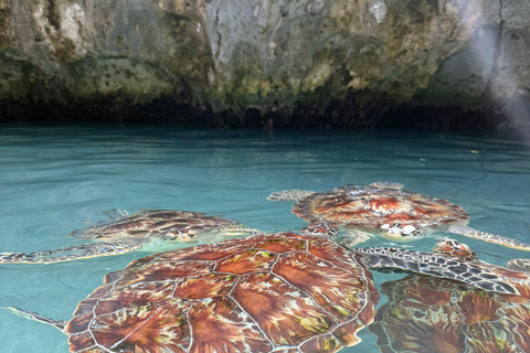 زنجبار: جولة في مزرعة التوابل وجولة في كهف السلامجولة خاصة مع النقل مشمول