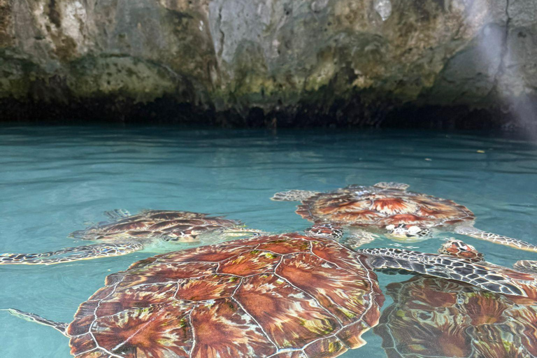 زنجبار: جولة في مزرعة التوابل وجولة في كهف السلامجولة خاصة مع النقل مشمول