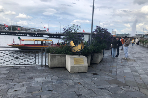 Ginevra: Tour in bicicletta elettrica con ingresso al museo dell&#039;orologio