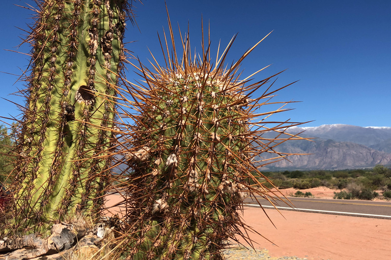 VALLEYS COMBO: CACHI AND CAFAYATE