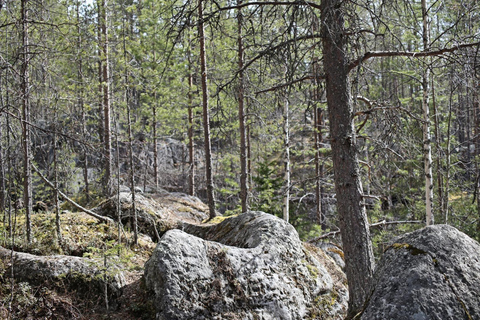 Rovaniemi: Sukulanrakka & Devil's Churns Tour