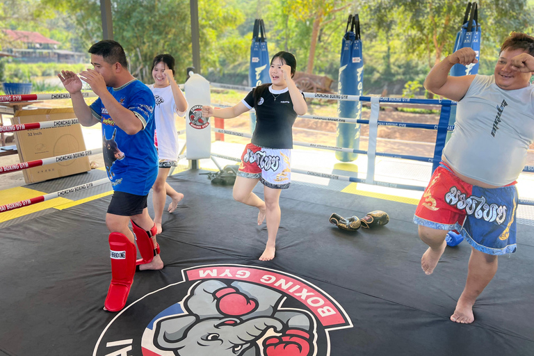 Chiangmai: Basic Muay Thai Experience with Training Session