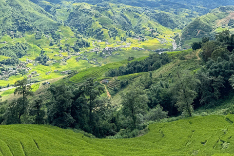 Sapa One-Day Trek: Terraços de arroz e aldeias étnicas