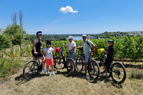 Passeios e seus maravilhosos casltes de bicicleta!