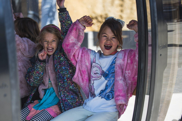 Denver: Aerial Gondola Ride and Views Mighty Argo Parking