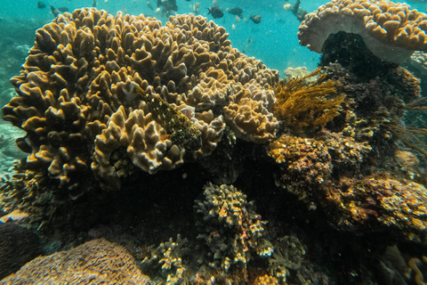 Nusa Penida: Snorkeling 3 Spots with GoPro & West Land Tour Snorkeling 3 Spots with West Land Tour - Meet at Penida Port