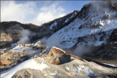 Sapporo: Tour privato di un giorno a Noboribetsu + Lago di Toyako+Otaru