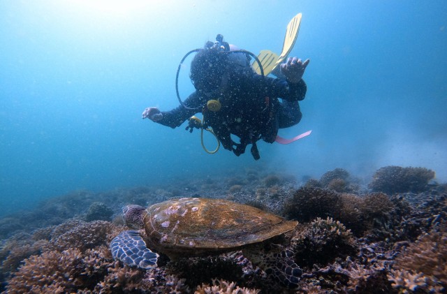 Visit Scuba Diving Tours To Daymaniyat Islands. in Muscat, Oman