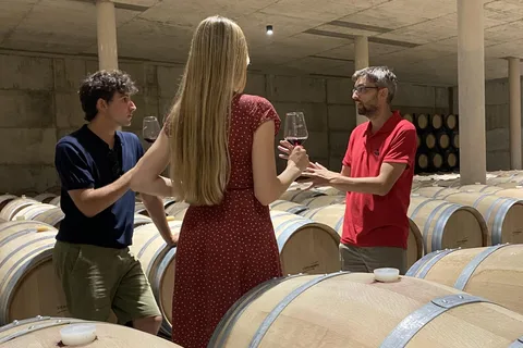 Von Valencia aus: Requena Wein-Tour mit Verkostungen