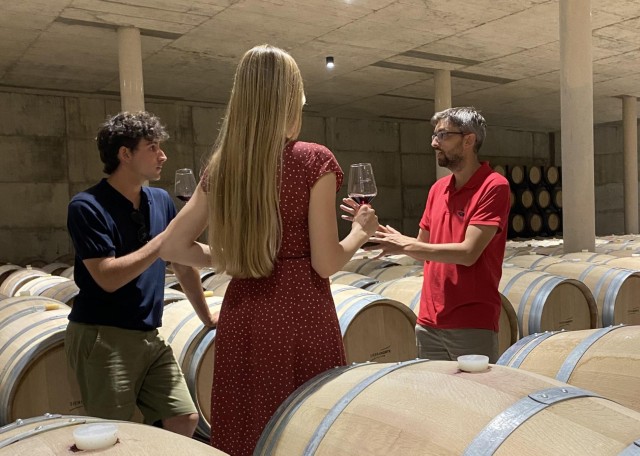 Visit From Valencia: Requena Wine Tour with Tastings in Cartagena