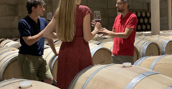 Weintour in kleiner Gruppe von Valencia zu den Weinbergen von Requena