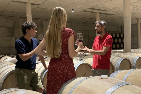 From Valencia: Requena Wine Tour with Tastings From Valencia: Private Requena Wine Tour with Tastings
