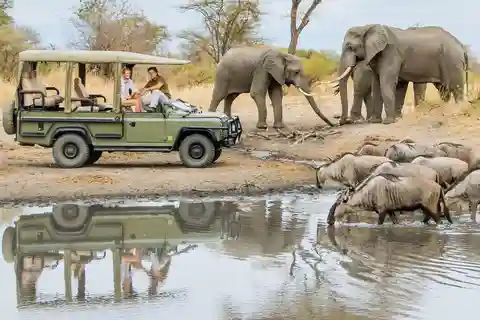 Parco Nazionale Nyerere: avventura safari di 2 giorni
