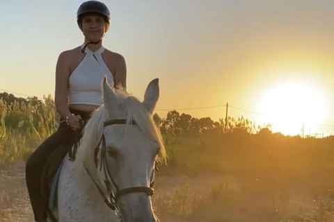 جزيرة رودس: ركوب الخيل على الشاطئ عند غروب الشمس