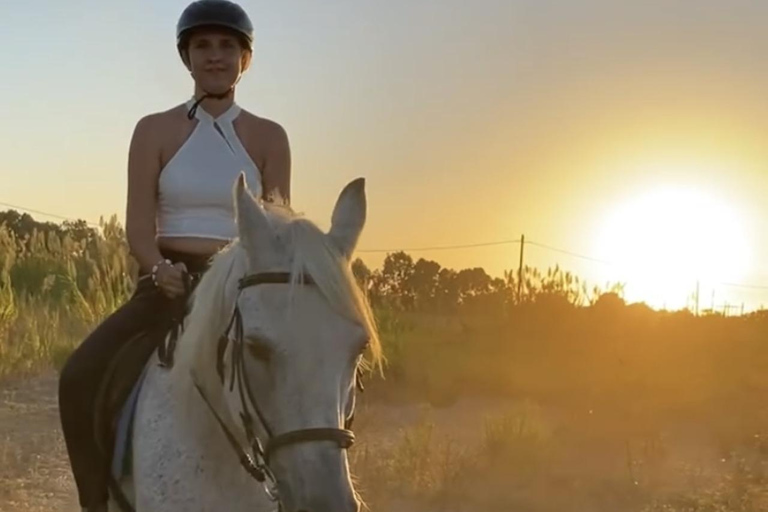جزيرة رودس: ركوب الخيل على الشاطئ عند غروب الشمس