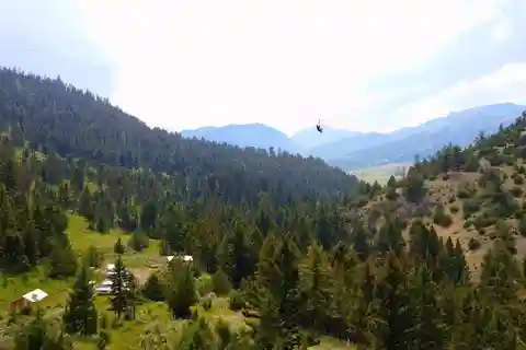 Gardiner: Guided Zipline EcoTour (3 hours)